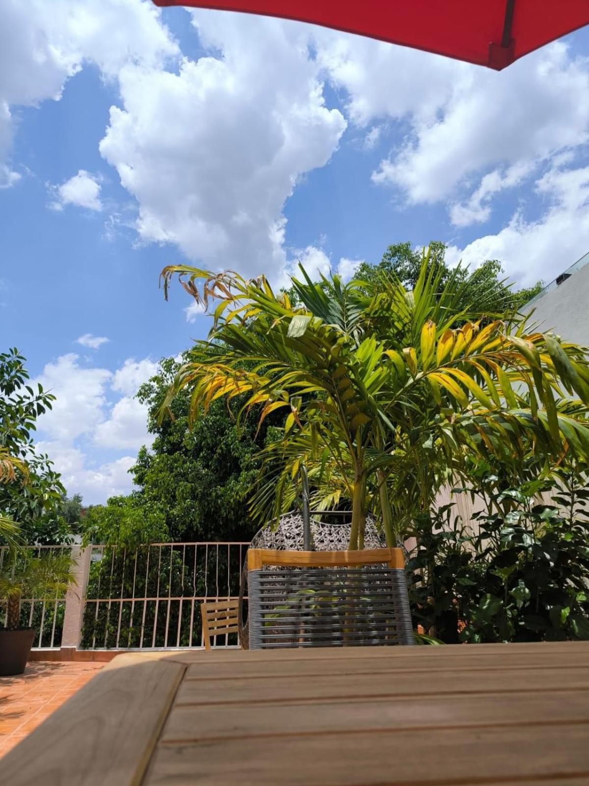 Casa Frida Condesa Bed & Breakfast Mexico City Ngoại thất bức ảnh